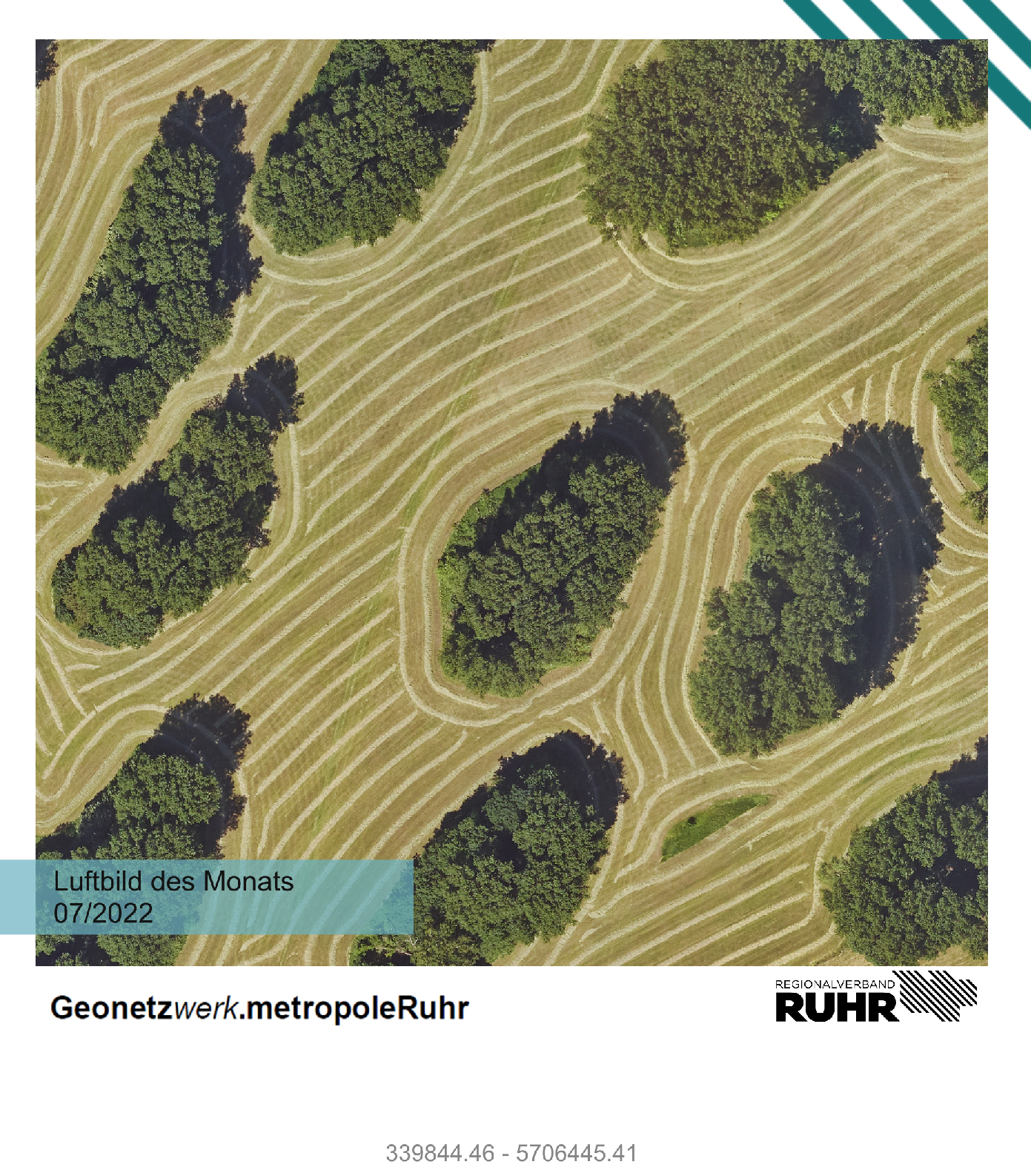 Detailaufnahme von landwirtschaftlicher Fläche bei Duisburg Bruckhausen. 